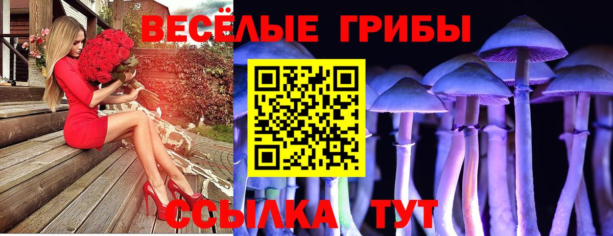 Псилоцибиновые грибы мицелий Благодарный