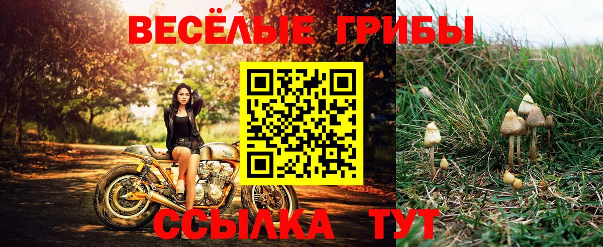 Галлюциногенные грибы мицелий  Галлюциногенные грибы Psilocybine cubensis  Благодарный  Вход с VPN 